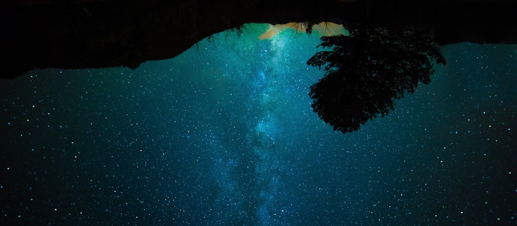 Poetry The grounds, trees are above upside down, and the starry milky way at the bottom