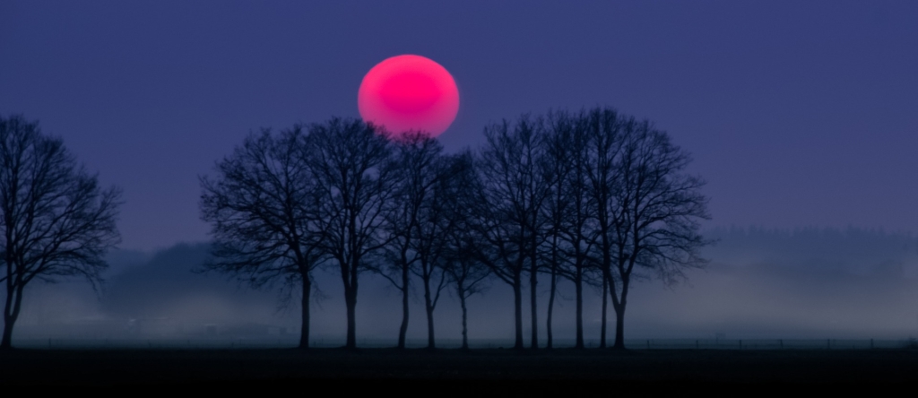 Poetry Red sun hanging low behind barren trees obscured by a low mist