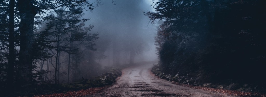 Poetry: The image displays a path into the forest in a foggy evening